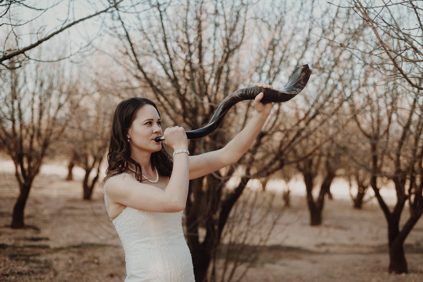 A Trumpet call to enter the Ark on the Feast of Trumpets