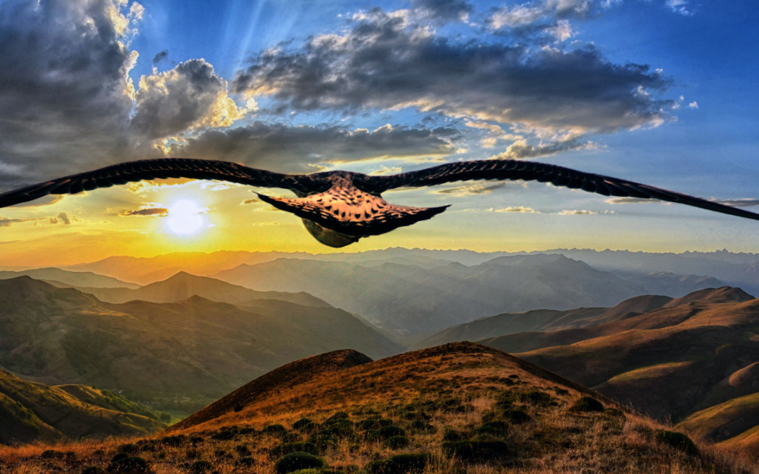 This is the Qualifying Year! (Radical Obedience Part 2)