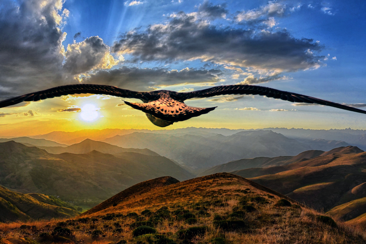 This is the Qualifying Year! (Radical Obedience Part 2)